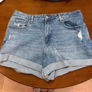 Wild Fable high rise distressed Denim Shorts